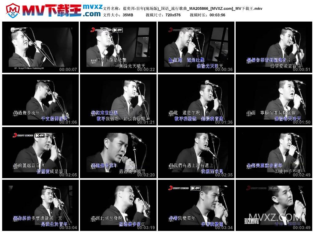 蓝奕邦-盲年(现场版)_国语_流行歌曲_MA205866